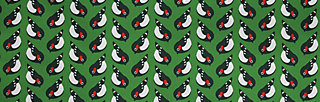 Soft Shell Jacket swallowtail lightweight, free as birds, Jackets & Coats, Green